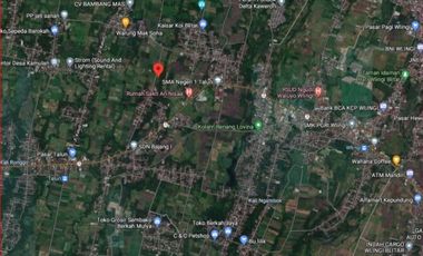 Tanah sawah 1 ha di Bajang Talun Kab. Blitar