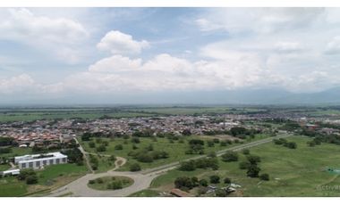 VENDE LOTE  PALMIRA