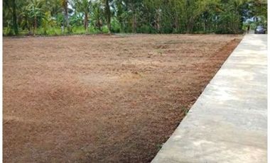 90 Jt-an; Tanah Purworejo, Luas 150 m&sup2; ; Legalitas SHM