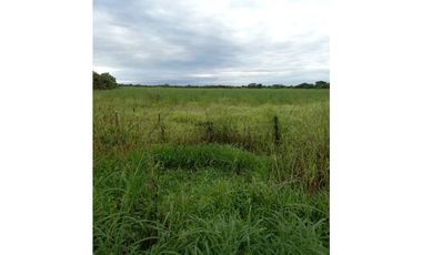 Venta de finca en Nata GTA