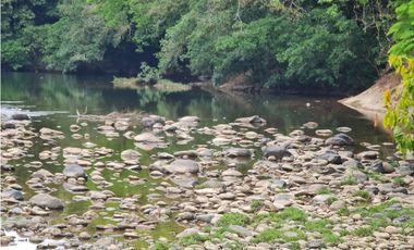Venta de finca en Nata GTA