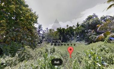 Tanah Kecil 725 m2 Di Bonian Selemadeg Tabanan