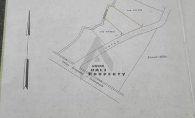 Tanah Kecil 725 m2 Di Bonian Selemadeg Tabanan