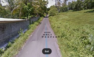 Tanah Kecil 725 m2 Di Bonian Selemadeg Tabanan