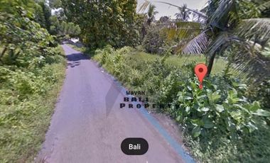 Tanah Kecil 725 m2 Di Bonian Selemadeg Tabanan