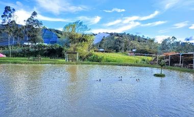 ARRIENDO de HOTEL en CARMEN DE VIBORAL