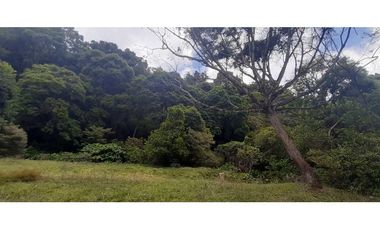 VENDO TERRENO DE 25 HECTAREAS CON CONCESION DE AGUA- BOQUETE