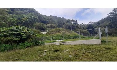 VENDO TERRENO DE 25 HECTAREAS CON CONCESION DE AGUA- BOQUETE