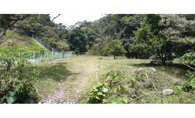 VENDO TERRENO DE 25 HECTAREAS CON CONCESION DE AGUA- BOQUETE