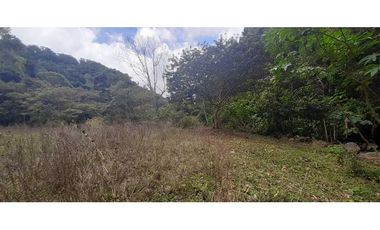 VENDO TERRENO DE 25 HECTAREAS CON CONCESION DE AGUA- BOQUETE