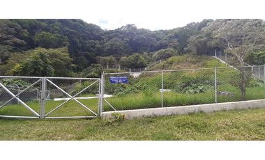 VENDO TERRENO DE 25 HECTAREAS CON CONCESION DE AGUA- BOQUETE