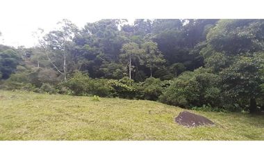 VENDO TERRENO DE 25 HECTAREAS CON CONCESION DE AGUA- BOQUETE