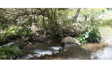 VENDO TERRENO DE 25 HECTAREAS CON CONCESION DE AGUA- BOQUETE