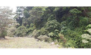 VENDO TERRENO DE 25 HECTAREAS CON CONCESION DE AGUA- BOQUETE
