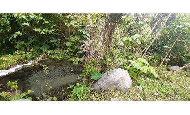 VENDO TERRENO DE 25 HECTAREAS CON CONCESION DE AGUA- BOQUETE