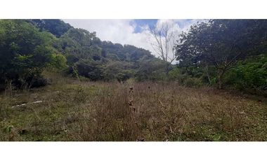 VENDO TERRENO DE 25 HECTAREAS CON CONCESION DE AGUA- BOQUETE