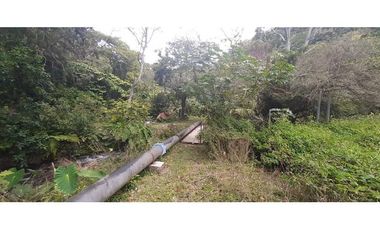 VENDO TERRENO DE 25 HECTAREAS CON CONCESION DE AGUA- BOQUETE