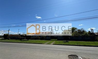 Sitio 1.103 m2 en venta en Calle Yungay (Ruta 203) Lanco