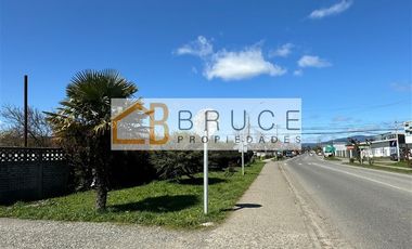 Sitio 1.103 m2 en venta en Calle Yungay (Ruta 203) Lanco