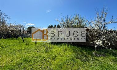 Sitio 1.103 m2 en venta en Calle Yungay (Ruta 203) Lanco