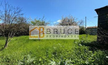 Sitio 1.103 m2 en venta en Calle Yungay (Ruta 203) Lanco