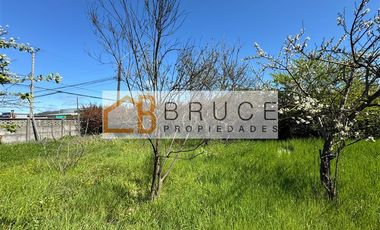 Sitio 1.103 m2 en venta en Calle Yungay (Ruta 203) Lanco