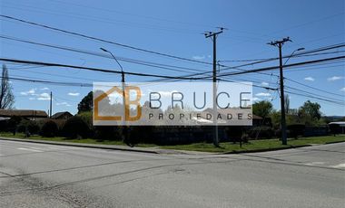 Sitio 1.103 m2 en venta en Calle Yungay (Ruta 203) Lanco
