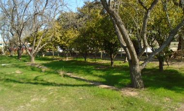 SE VENDE O PERMUTA HERMOSA PARCELA CON CASA Y GRAN BODEGA EN SECTOR ALHUE