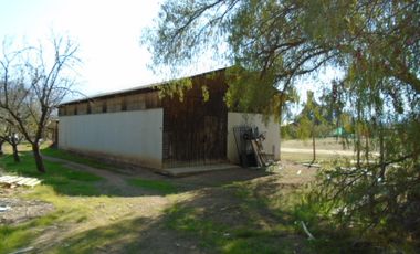 SE VENDE O PERMUTA HERMOSA PARCELA CON CASA Y GRAN BODEGA EN SECTOR ALHUE