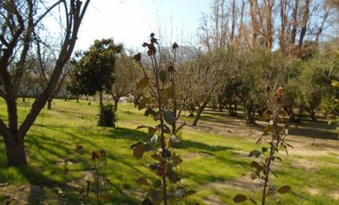 SE VENDE O PERMUTA HERMOSA PARCELA CON CASA Y GRAN BODEGA EN SECTOR ALHUE