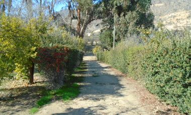 SE VENDE O PERMUTA HERMOSA PARCELA CON CASA Y GRAN BODEGA EN SECTOR ALHUE