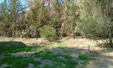 SE VENDE O PERMUTA HERMOSA PARCELA CON CASA Y GRAN BODEGA EN SECTOR ALHUE