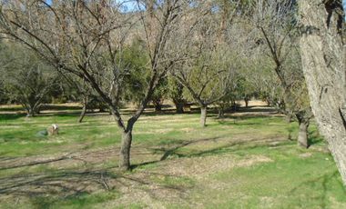 SE VENDE O PERMUTA HERMOSA PARCELA CON CASA Y GRAN BODEGA EN SECTOR ALHUE