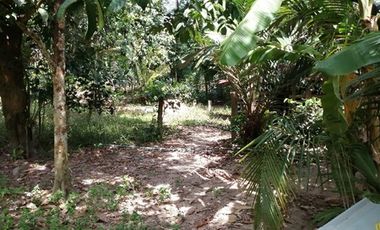 ทรัพย์ บสส. รหัส 9Z1280 บ้านเดี่ยว  ปัตตานี