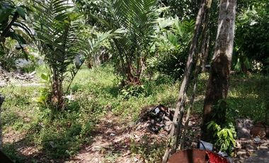 ทรัพย์ บสส. รหัส 9Z1280 บ้านเดี่ยว  ปัตตานี
