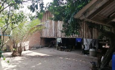 ทรัพย์ บสส. รหัส 9Z1280 บ้านเดี่ยว  ปัตตานี