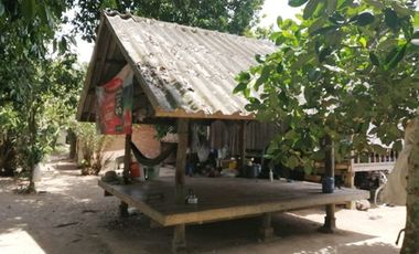 ทรัพย์ บสส. รหัส 9Z1280 บ้านเดี่ยว  ปัตตานี
