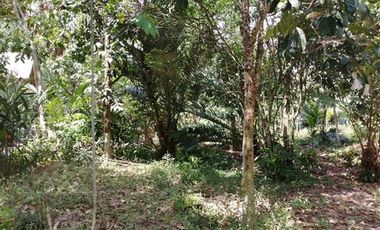 ทรัพย์ บสส. รหัส 9Z1280 บ้านเดี่ยว  ปัตตานี