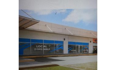 Se Alquilan Mañanitas 9 Locales Ciales Desde 91.37 Mts USD1,261,36