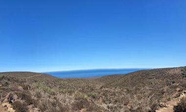 Sitio en Venta en Sector Talinay Bajo