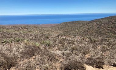 Sitio en Venta en Sector Talinay Bajo