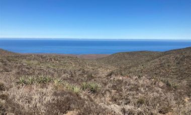 Sitio en Venta en Sector Talinay Bajo