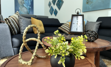 Santa Anita, a un lado de Galerias Sur, Tamarindo Residencial