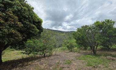 VENTA LOTE VÍA LA CUMBRE EN SANTA INES. Cod V8611