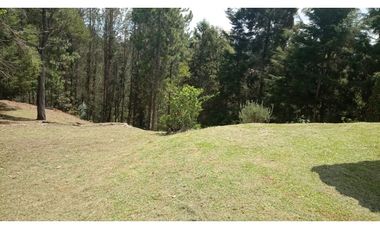VENTA DE FINCA EN GUARNE, VEREDA TOLDAS