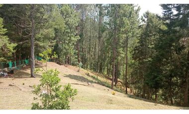 VENTA DE FINCA EN GUARNE, VEREDA TOLDAS