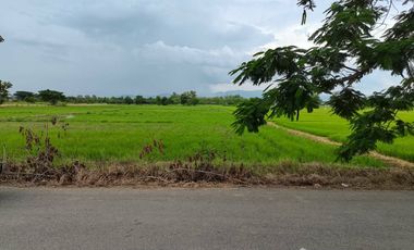 Land for sale in Buak Khang, Chiang Mai