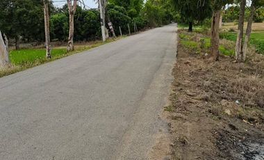 Land for sale in Buak Khang, Chiang Mai