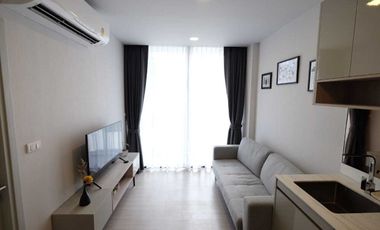 1 Bedroom Condo for rent at Quintara Treehaus Sukhumvit 42