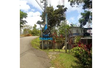 Se Vende Terreno 11 Has. en Cerro Azul  USD$324,500,oo